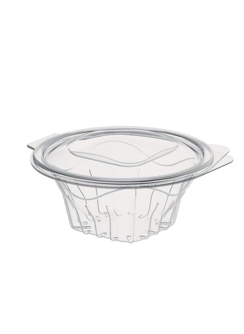 10-pieces Salad Containers with Hinged Lids 16oz