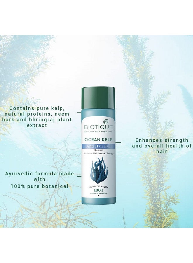 Biotique Bio Kelp Protein Shampoo For Falling Hair 190 Ml - Image 4