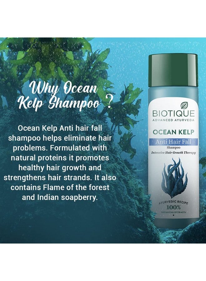 Biotique Bio Kelp Protein Shampoo For Falling Hair 190 Ml - Image 5