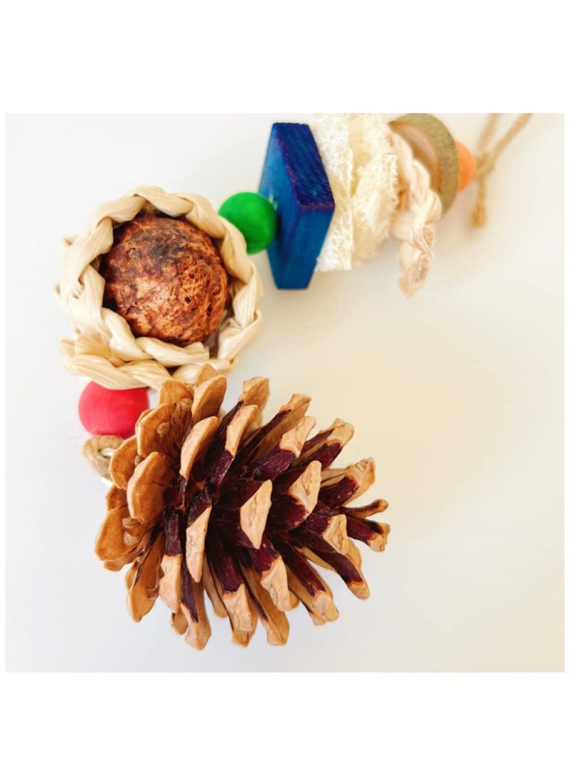 Y&D Parrot Toys, Bird Chewing Foraging Toys with Natural Pine Cones for Cage, Hanging Parakeets Cockatiel African Grey Small Parrots Lovebirds - Image 5