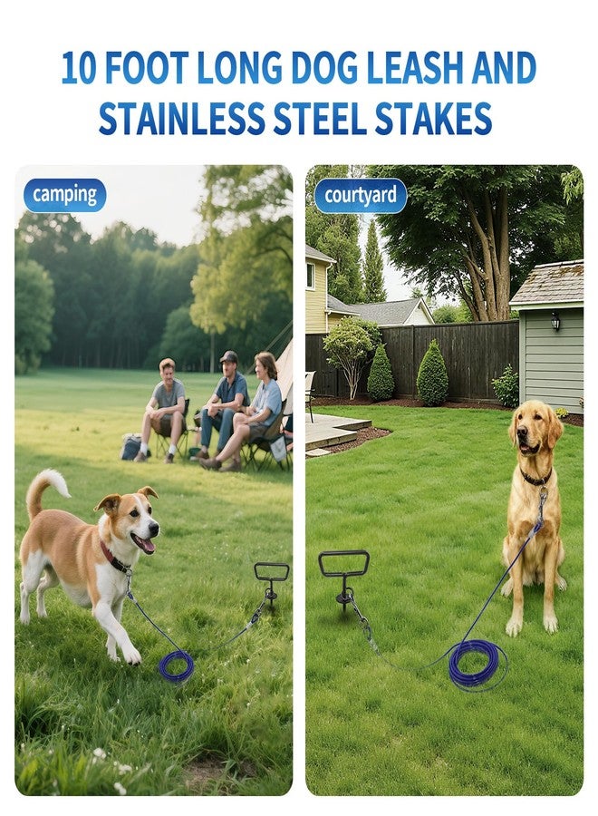 PRRPRR Dog Tie Out Cable and Stake 34ft, Heavy Duty Dog Chains for Outside with Lockable Hook, Pet Runner Cable Leads for Medium Large Dogs Up to 250 LBS,Comfort Grip for Daily Walking/Outdoor - Image 4