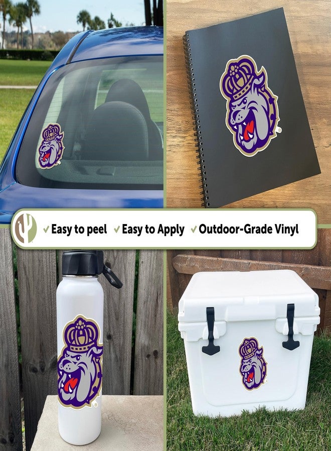 Desert Cactus James Madison University JMU Dukes Vinyl Decal Laptop Water Bottle Car Scrapbook Sticker (IND 006) - Image 2
