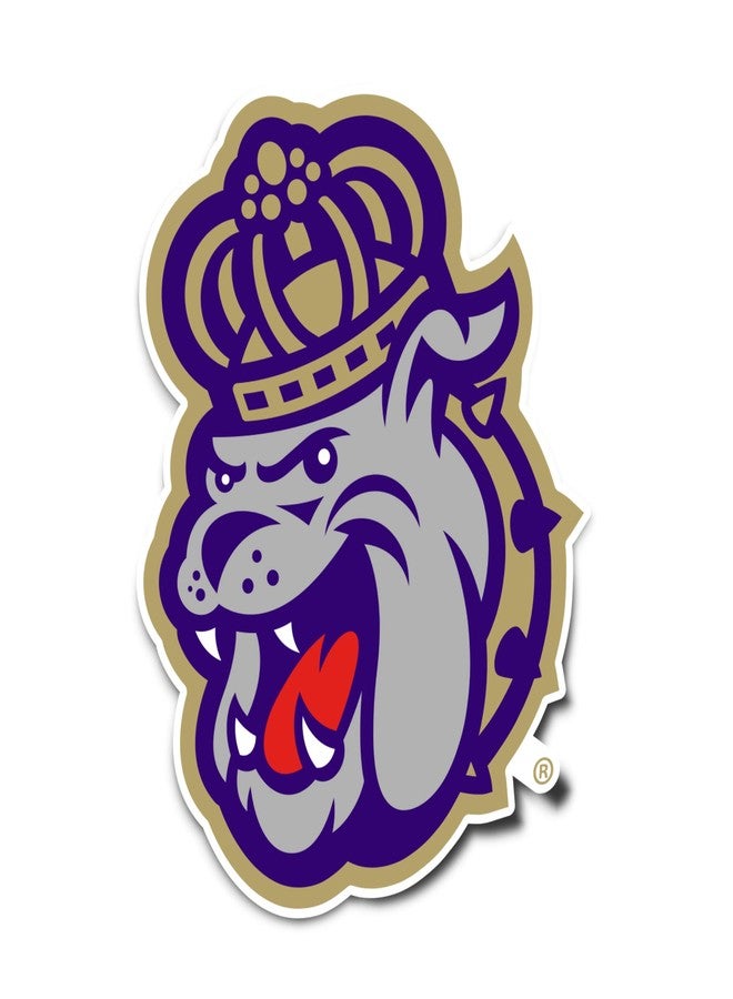 Desert Cactus James Madison University JMU Dukes Vinyl Decal Laptop Water Bottle Car Scrapbook Sticker (IND 006) - Image 1