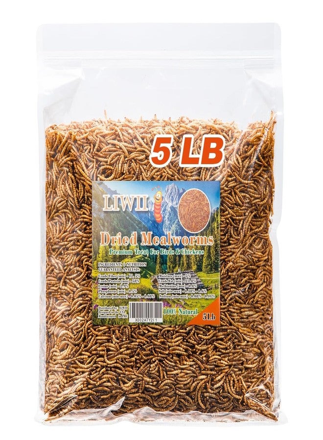LIWII 5LB Dried Mealworms for Chickens, Laying Hens, Ducks & Wild Birds - Image 1