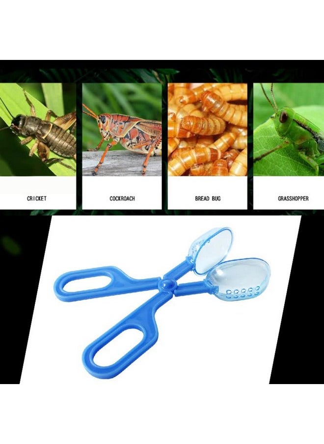 Ximimark Ximimark 3 pcs Classic Aquarium Litter Blue Clear Reptile Poop Clamp Tool Kit New  - Image 5