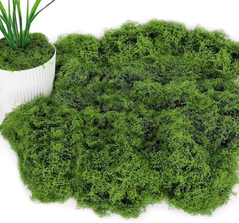 PacuM 100 g Artificial Moss for Decorating, Process Moss, Nylon Fake Moss, Artificial Moss for Crafts, Artificial Moss for Crafts, Iceland Moss, Artificial Moss for Crafts, Miniature Garden Decoration (Dark - Image 1