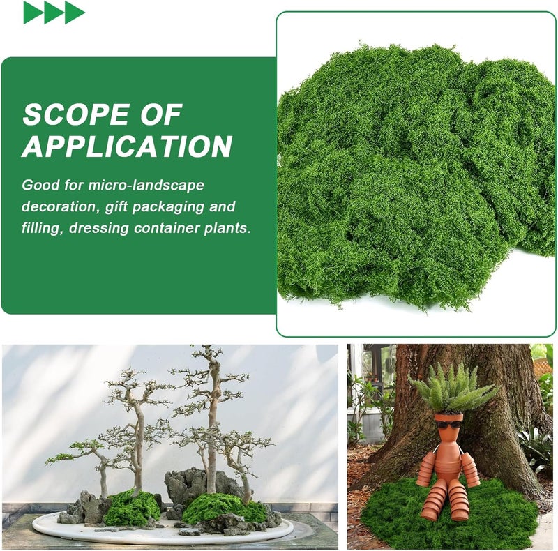 PacuM 100 g Artificial Moss for Decorating, Process Moss, Nylon Fake Moss, Artificial Moss for Crafts, Artificial Moss for Crafts, Iceland Moss, Artificial Moss for Crafts, Miniature Garden Decoration (Dark - Image 5