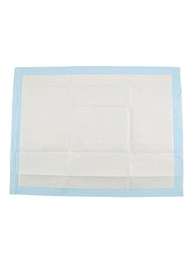 تشونغ تشونغ باوبل وسائد للحيوانات الأليفة لامتصاص الماء 20 قطعة - 90x60 سم