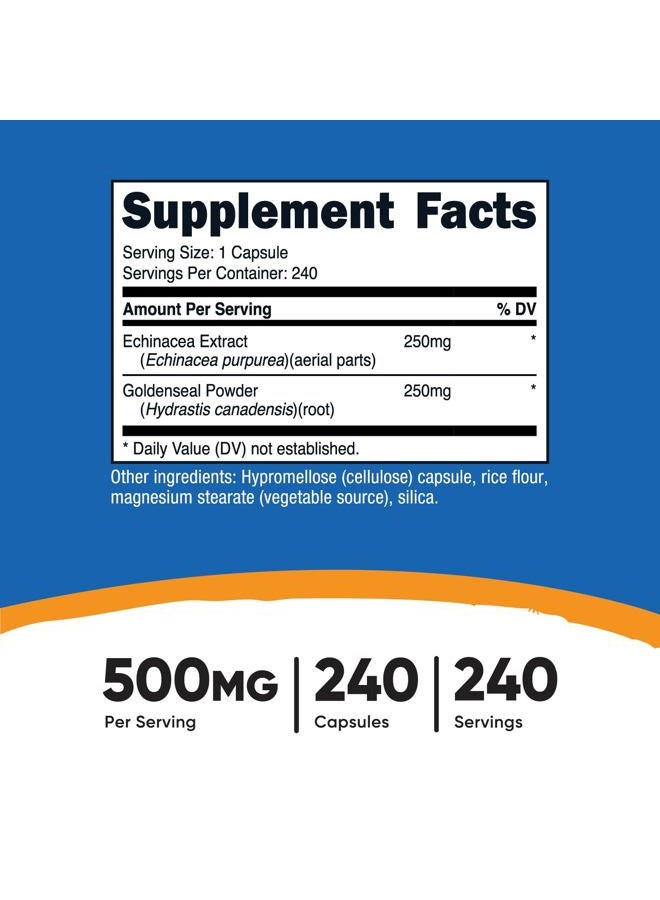 Nutricost Echinacea & Goldenseal Root, 500mg, 240 Capsules - Vegetarian Caps, Non GMO, Gluten Free - Image 2