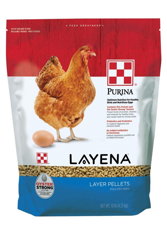 PURINA Purina Layena | Nutritionally Complete Layer Hen Feed Pellets | 10 Pound (10 lb) Bag - Image 1