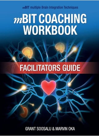 mBIT Coaching Workbook - Facilitators Guide - pzsku/Z3AAA532895F6EEC3F17CZ/45/_/1676987307/dc683f39-a5f3-4928-b21f-518b8fa84bd2