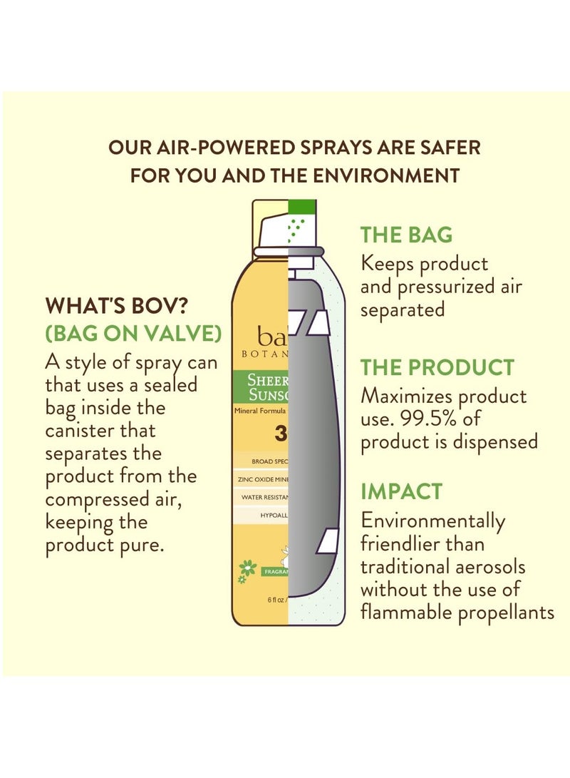 Babo Botanicals Babo Botanicals Sheer Zinc Continuous Sunscreen Spray SPF30 - Natural Zinc Oxide - Extra Sensitive Skin - Water Resistant - Vegan - Fragrance-Free - Air-Powered Spray - For all ages - Image 2