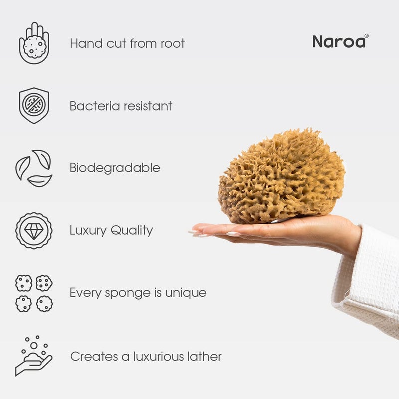 Naroa Soft Natural Shower Sponge | Gentle Sea Loofah for Bathing Smooth Skin | Unbleached Body Scrubber Puff | Bath & Spa (Small) - Image 4