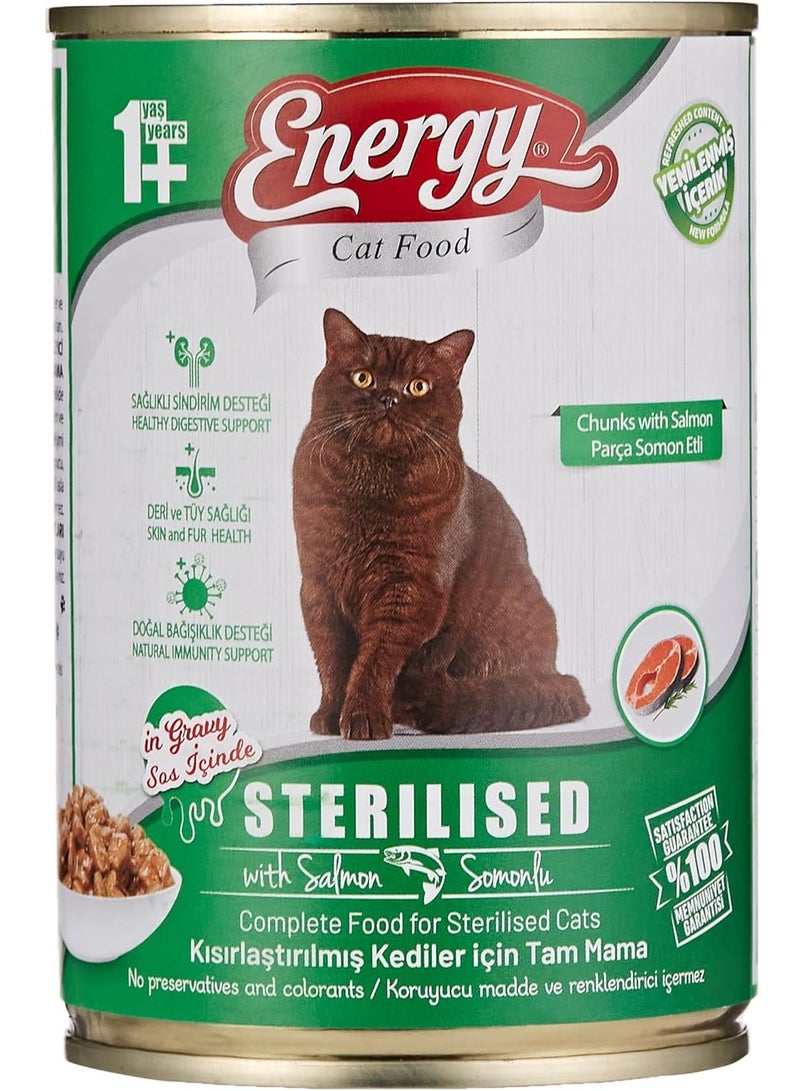 Energy Sterilized Wet Cat Food With Salmon Chunks And Gravy 400 Gms - Image 1