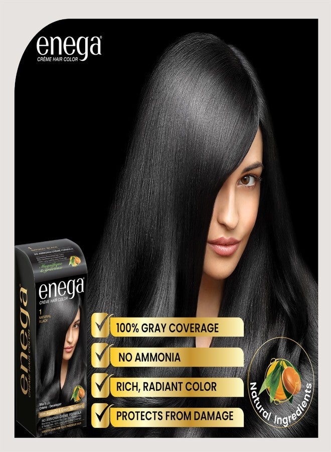 Enega no ammonia grey coverage long lasting Creme Hair Color with Argan Oil & Green Tea Extract - 150 ML (Pack of 3, Natural Black) - Image 2