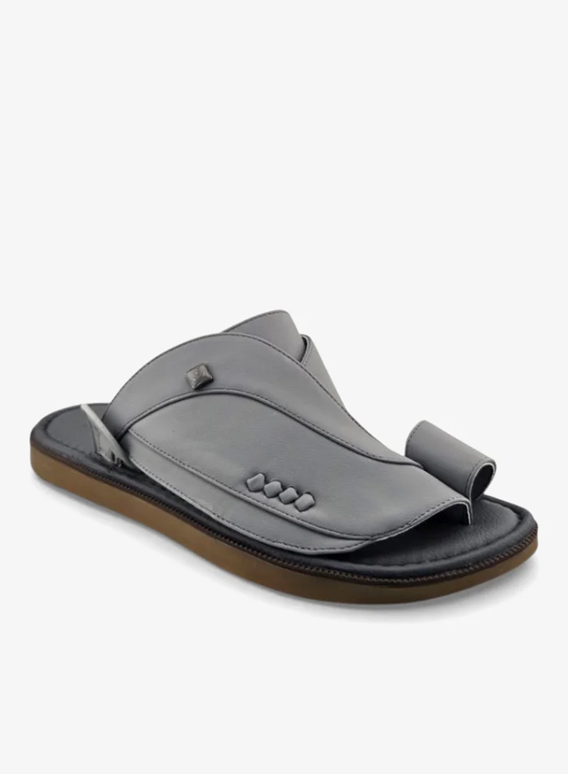 الفانوس الفانوس: سيغنتشر رويال