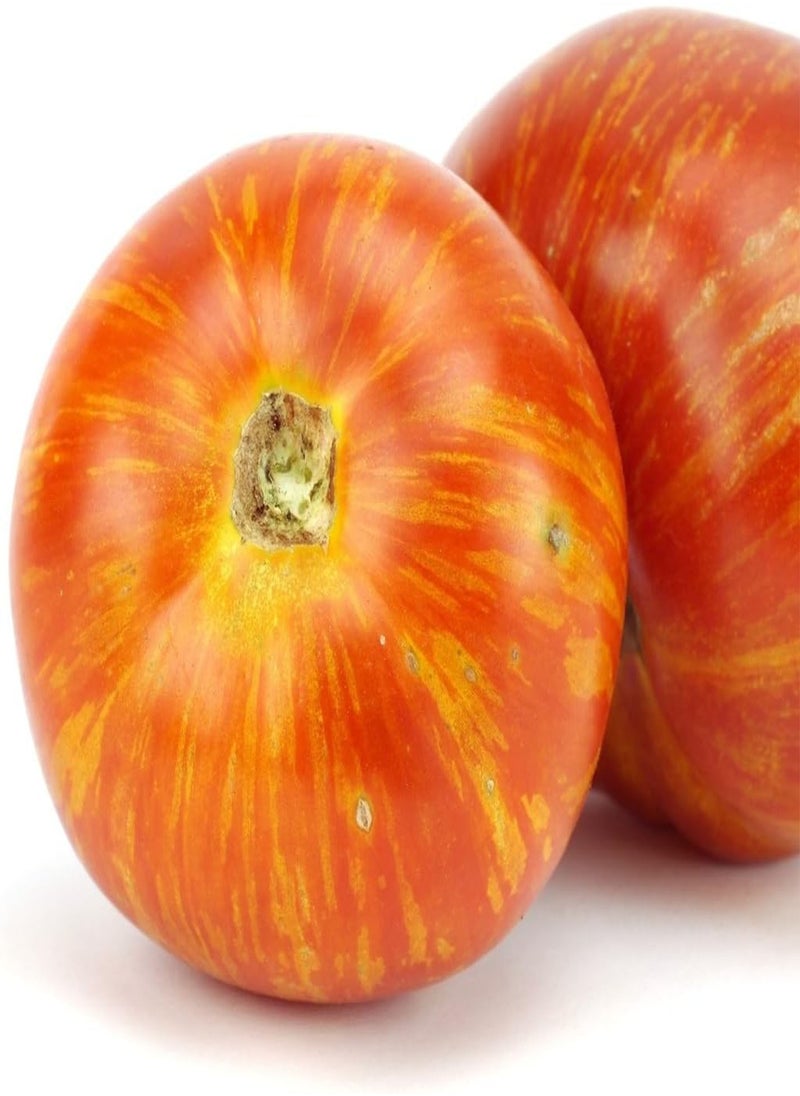 seeds   Vegetable seeds, Tomato   Tigerella, V TOM 05, 60 seeds Minimum Per Packet.
