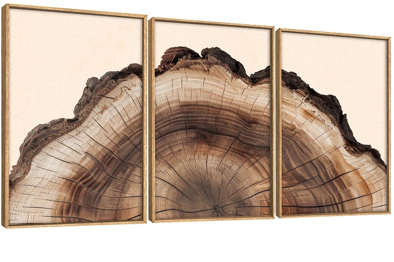 KAIRNE Framed Tree Ring Wall Art Set, Retro Wood Stump Wall Decor, Tree Spiral Wall Painting, Modern Nature Canvas Art Prints for Living Room, Bedroom, Dinning Room, Farmhouse - Large 16"x24"x3 - Image 1