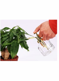 KASTWAVE Glass Plant Mister Spray Bottle, 6 Inches Clear Glass Water Spray Bottle with Gold Top Pump Small Watering Can, Small Plant Sprayer Mister for Indoor Outdoor House Plant (Clear + Gold)  - Image 2