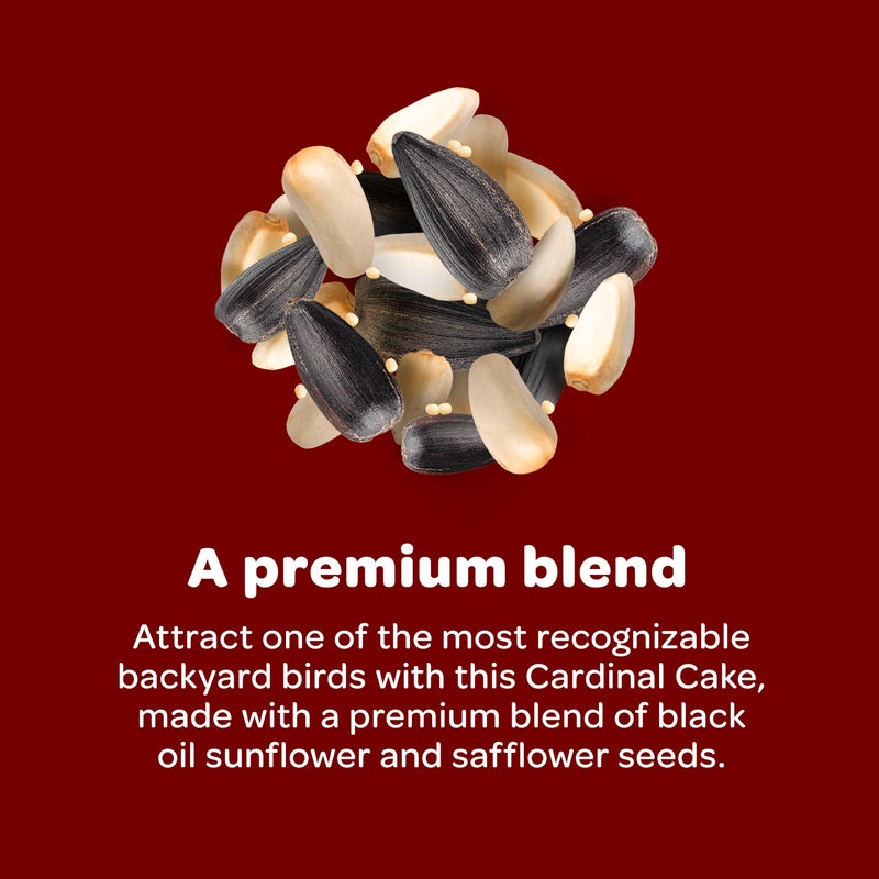 Kaytee Cardinal Seed Cake, Wild Bird Food, 1.85 Pounds - Image 3