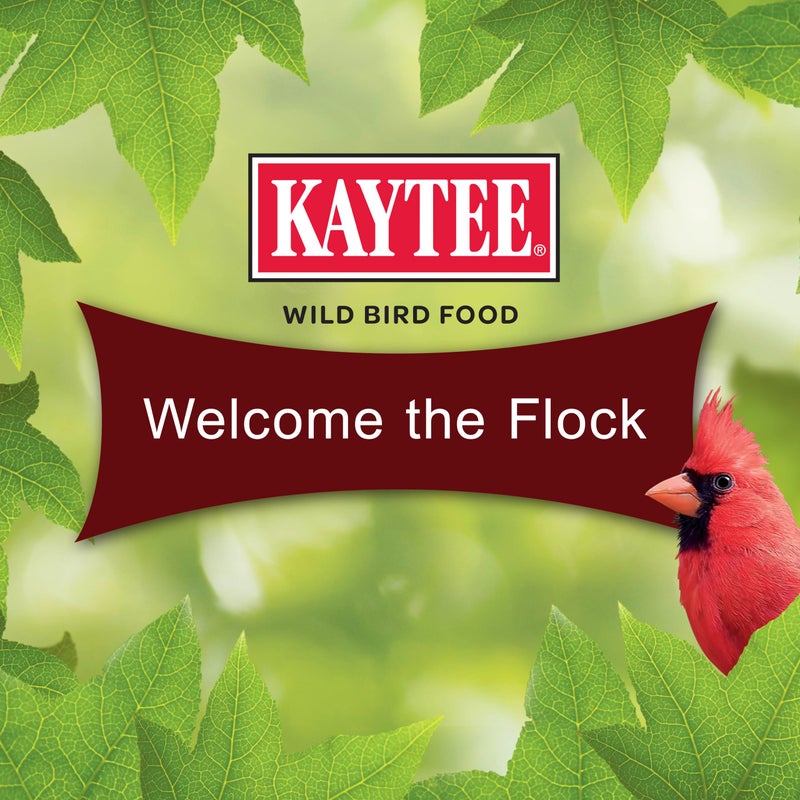 Kaytee Cardinal Seed Cake, Wild Bird Food, 1.85 Pounds - Image 5