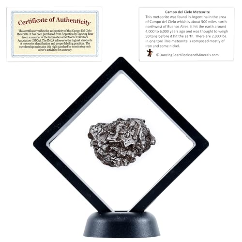 DANCING BEAR Real Meteorite Extra Large 6070g Genuine from Campo Del Cielo Argentina Certificate of Authenticity Display Stand ID Card Space Rock Assembled in The USA - Image 1
