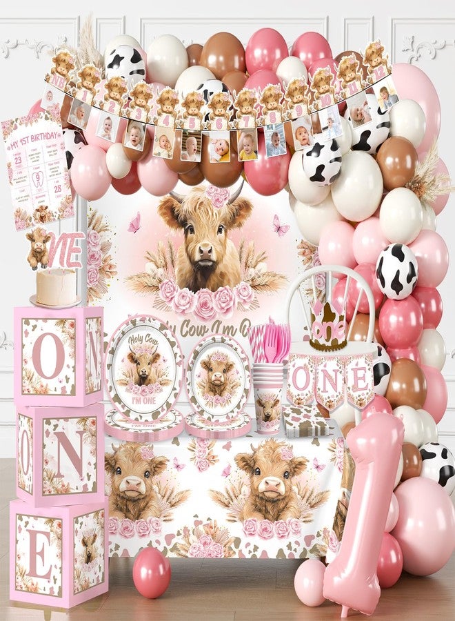 cocomigo 254pcs Holy Cow I'm One Birthday Decorations Complete Party Set, Highland Cow 1st Birthday Decorations Girl, for Cow Theme Girl 1st Party Supplies Serves 20 Guests - Image 1