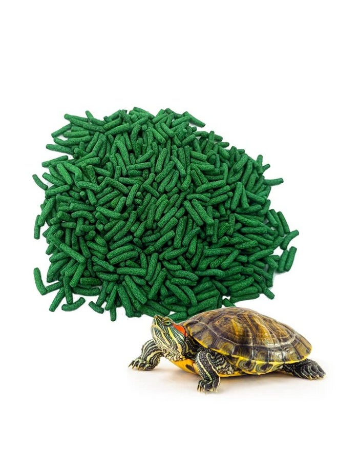 Super Saver Adult Turtle Food Spirulina Added For Good Shell Health & Daily Diet |1Kg| For Red-Eared, Musk, Mud, Cooter Turtle And Land Tortoise - pzsku/Z3ABB0F1F84E81A7226F1Z/45/_/1728281773/016c883a-3fe1-497b-82b2-7fe404e55935