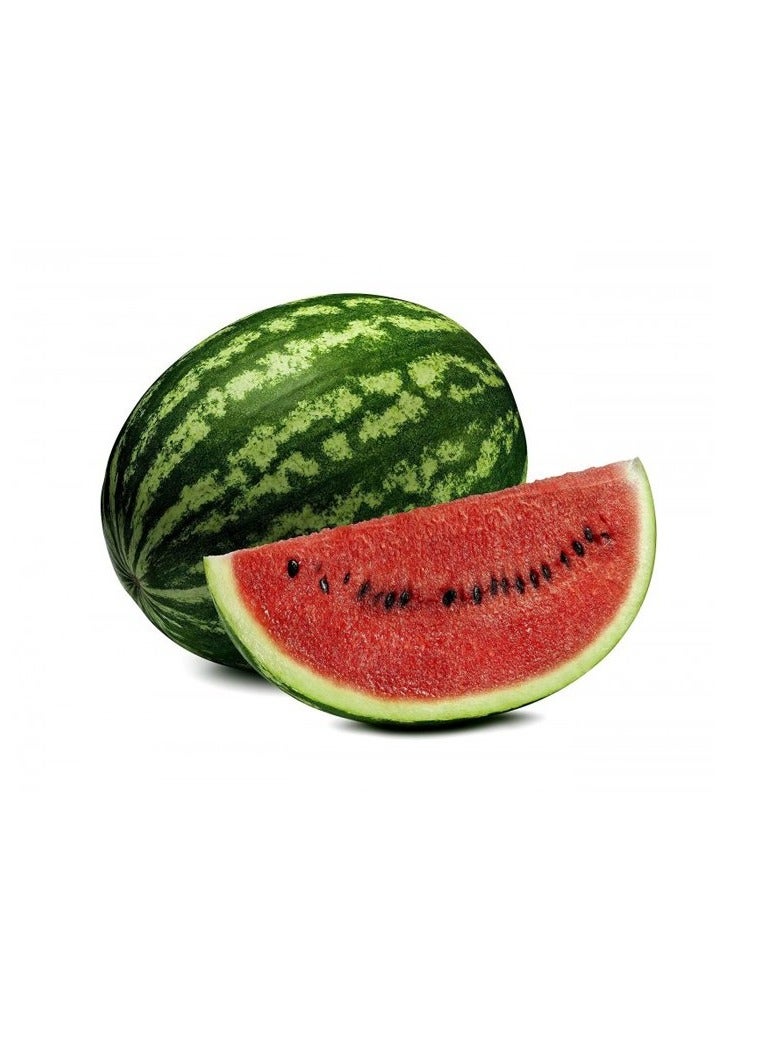 KNP EG Watermelon Sweet Seeds