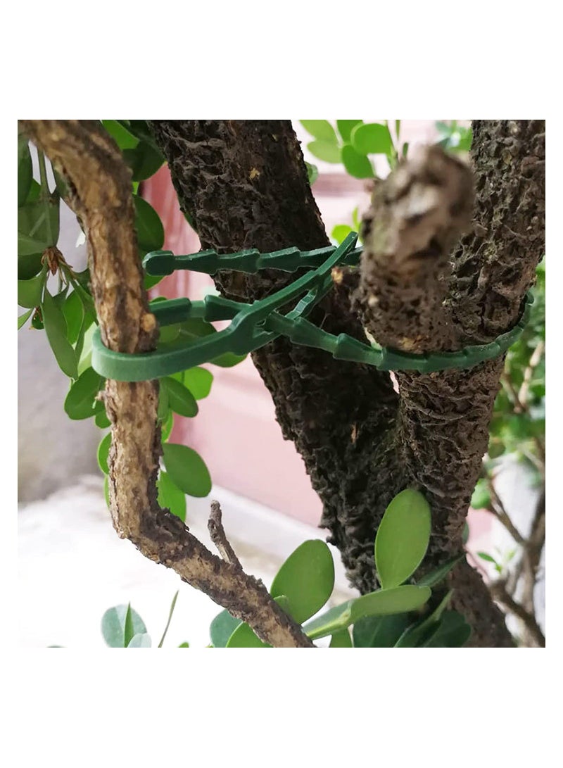 نيبمينينت 200PCS Adjustable Garden Ties, 5-Inch Plant Twist Ties Flexible Cable Zip Support Secure Vine Multi-Use Plastic for Gardening (Green)  - Image 2