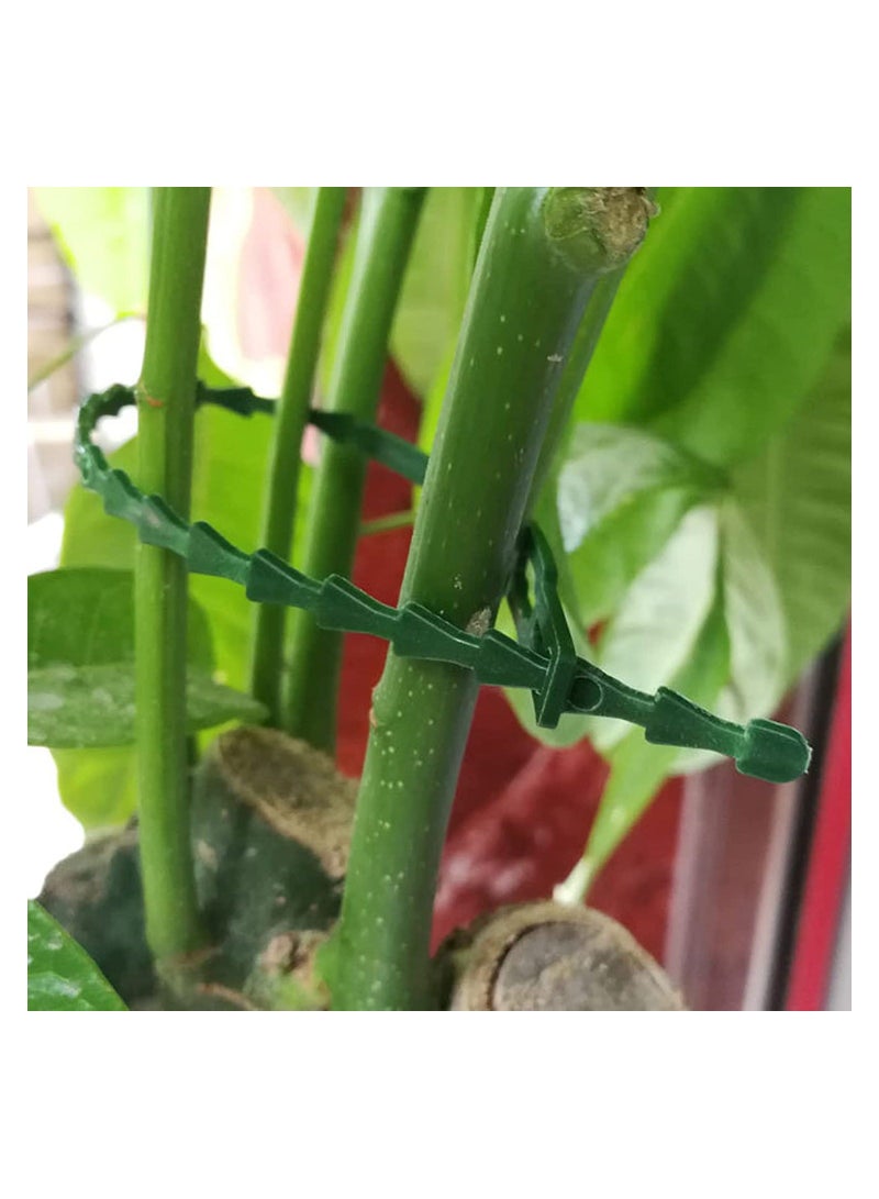 نيبمينينت 200PCS Adjustable Garden Ties, 5-Inch Plant Twist Ties Flexible Cable Zip Support Secure Vine Multi-Use Plastic for Gardening (Green)  - Image 4