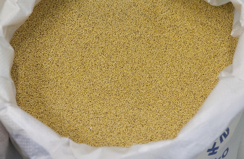 CooPany Organic Premium Foxtail Millet || Kangni Seeds || 100% Natural Bird Food for All Life Stages Budgies, Finches, Canaries, Lovebirds, Cockatiels (1.5kg) - Image 2