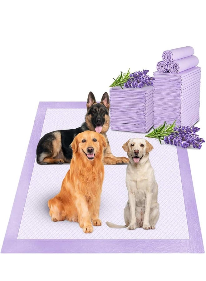 وسادات بول للاستخدام مرة واحدة للكلاب والحيوانات الأليفة، وسادات صغيرة للجراء مع إزالة الروائح، وسادات بول سميكة للجراء، وسادات تدريب للحيوانات الأليفة برائحة اللافندر فائقة الامتصاص، وسادات بول للاستخدام مرة واحدة مانعة للتسرب سريعة الجفاف لا تتسرب، وسادات تدريب سميكة مكونة من 6 طبقات فائقة الامتصاص للكلاب والجراء والقطط والأرانب والحيوانات الأليفة - Image 1