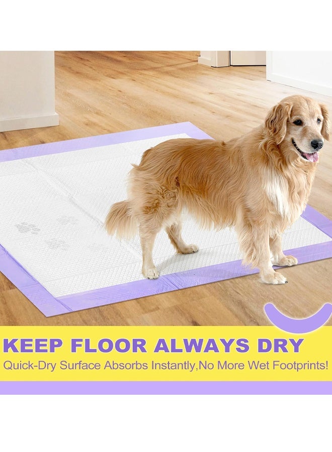 وسادات بول للاستخدام مرة واحدة للكلاب والحيوانات الأليفة، وسادات صغيرة للجراء مع إزالة الروائح، وسادات بول سميكة للجراء، وسادات تدريب للحيوانات الأليفة برائحة اللافندر فائقة الامتصاص، وسادات بول للاستخدام مرة واحدة مانعة للتسرب سريعة الجفاف لا تتسرب، وسادات تدريب سميكة مكونة من 6 طبقات فائقة الامتصاص للكلاب والجراء والقطط والأرانب والحيوانات الأليفة - Image 5