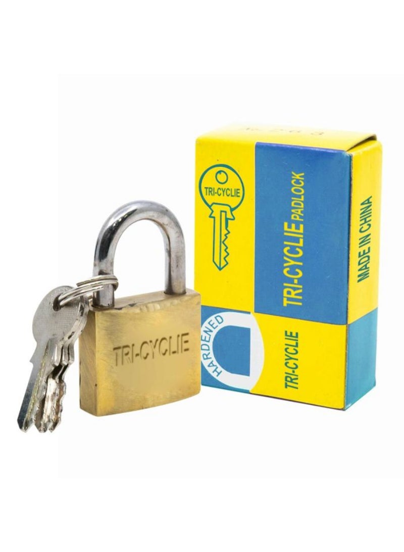 Unlocking Excellence The Artistry Behind Tri-Cycle Golden Padlocks