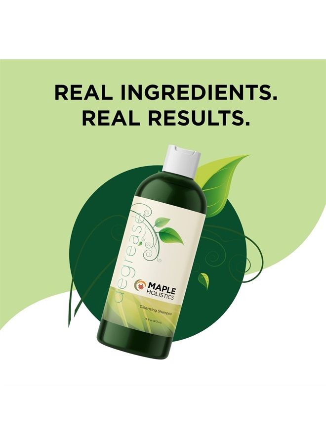 Maple Holistics شامبو للشعر الدهني - شامبو م clarifying للشعر الدهني ومنظف لفروة الرأس الجافة - شامبو تنظيف عميق لفروة الرأس الدهنية مع زيوت أساسية نقية للعناية بالشعر - Image 2