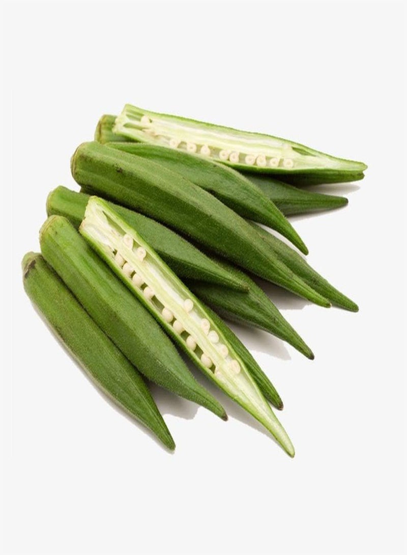 GGOOT 100Pcs Okra Seeds Light Green Rare Varieties Vegetables Indispensable in Courtyard Non-GMO Heirloom Crop Seed Planted in Garden Courtyard Farm Greenhouse - Image 1