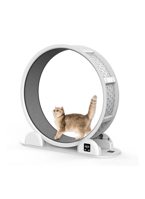 Silent Pet Cat Exercise Treadmill Big Roller Turning Wheel Cat Climbing Frame Cat Running Wheel