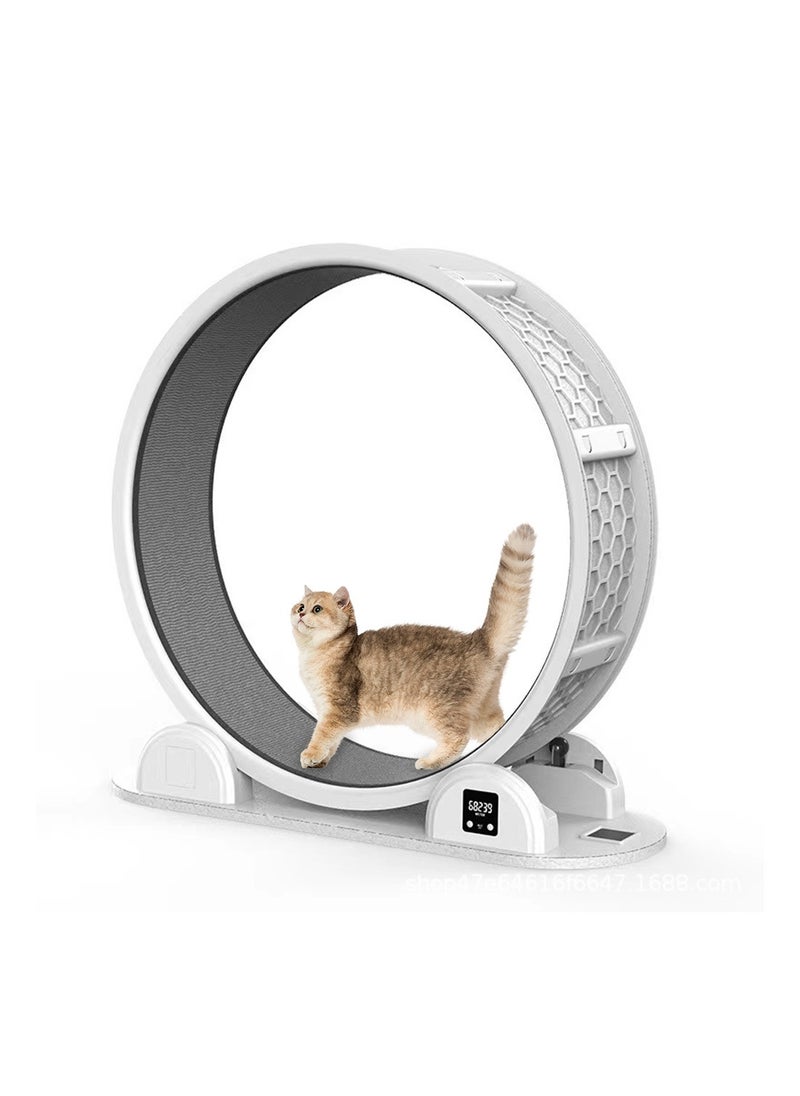 Kidle - Silent Pet Cat Exercise Treadmill Big Roller Turning Wheel Cat Climbing Frame Cat Running Wheel - Image 1