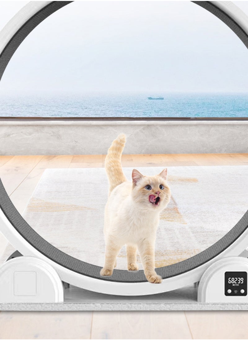 Kidle - Silent Pet Cat Exercise Treadmill Big Roller Turning Wheel Cat Climbing Frame Cat Running Wheel - Image 1