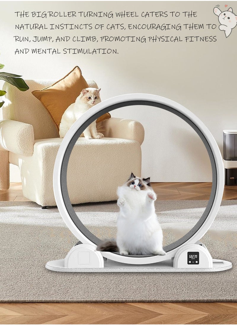 Kidle - Silent Pet Cat Exercise Treadmill Big Roller Turning Wheel Cat Climbing Frame Cat Running Wheel - Image 1
