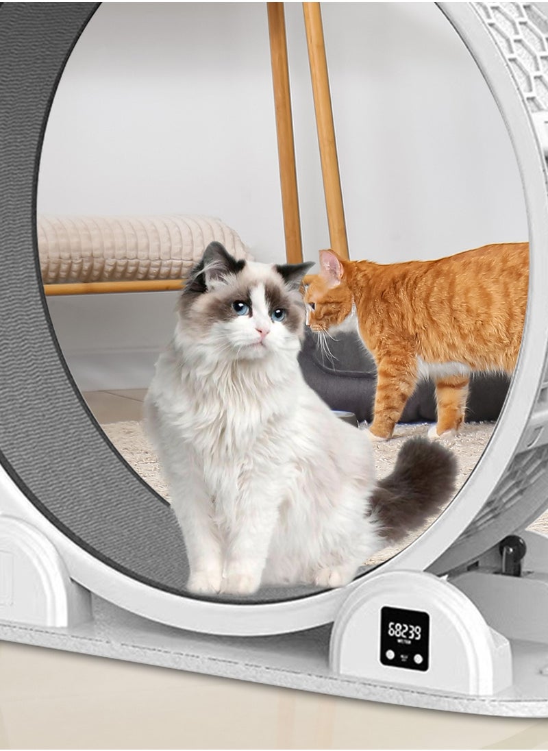 Kidle - Silent Pet Cat Exercise Treadmill Big Roller Turning Wheel Cat Climbing Frame Cat Running Wheel - Image 1
