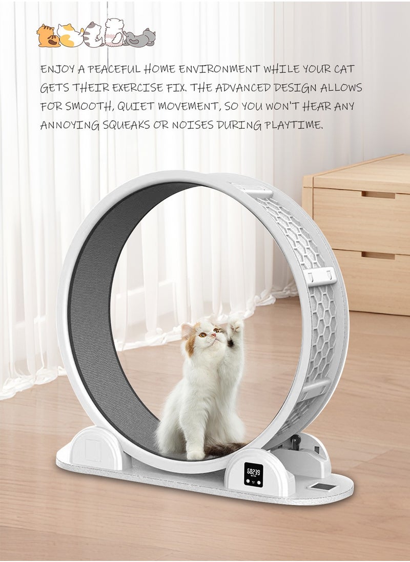 Kidle - Silent Pet Cat Exercise Treadmill Big Roller Turning Wheel Cat Climbing Frame Cat Running Wheel - Image 1