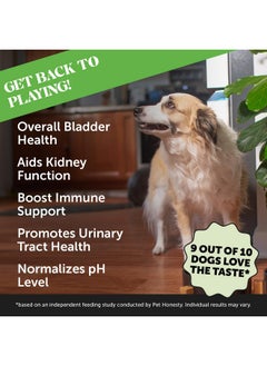 Pet Honesty Pet Honesty Cranberry Bladder Health for Dogs - Contains Active Ingredients - Cranberry & D-Mannose to Help Support Dog Urinary Tract Health, Dog Bladder Support, & Kidney Support for Dogs (Bacon)  - Image 1