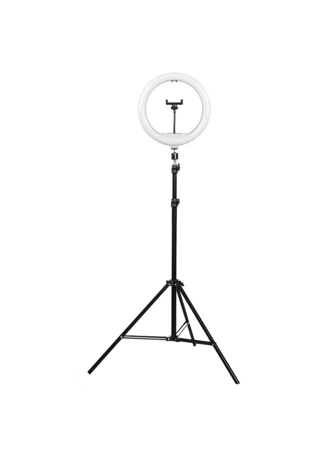 Eco Shine 10'' Ring Light with 50'' Extendable Tripod Stand, LED Circle Lights with Phone Holder for Live Stream/Makeup/YouTube Video/TikTok, Compatible with All Phones