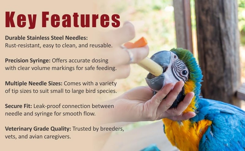 Agarwals Feeding Needle & Syringe Kit SS for Finch Canary Lovebirds Grey Parrot & Macaw. - Image 4