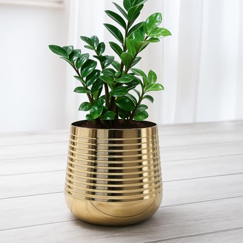Ekhasa Nostrae Gold Metal Planter for Indoor Plants | Decorative Metal Pot for Home Decor | Elegant Golden Planter & Metal Flower Pot | Designer Brass-Look Planter for Living Room & Tabletop - Image 1