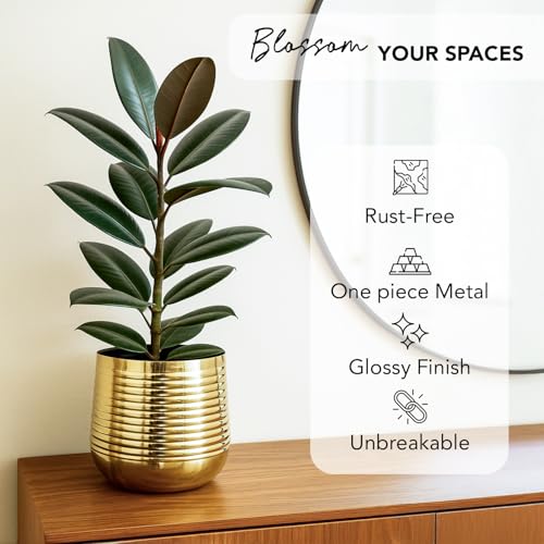 Ekhasa Nostrae Gold Metal Planter for Indoor Plants | Decorative Metal Pot for Home Decor | Elegant Golden Planter & Metal Flower Pot | Designer Brass-Look Planter for Living Room & Tabletop - Image 5