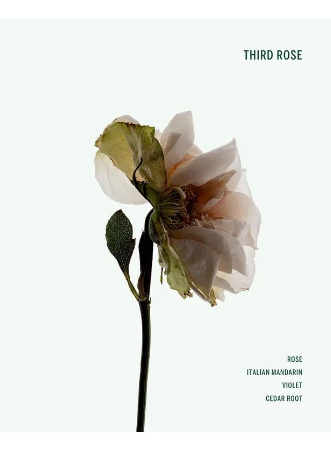 Corpus Third Rose Deodorant 75g - Image 4