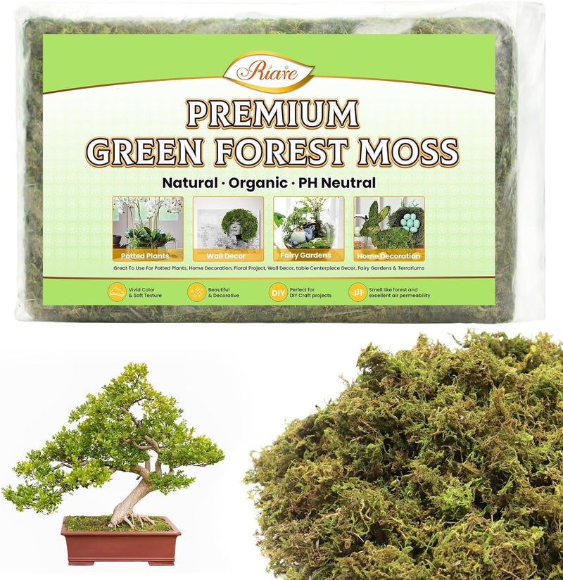 Riare 7OZ Artificial Fake Moss for Fake Plants Indoor- Premium Faux Craft Moss for Potted Plant, Fresh Forest Green for Hamsters Micro-Landscape Terrariums Centerpieces Decor - Image 1